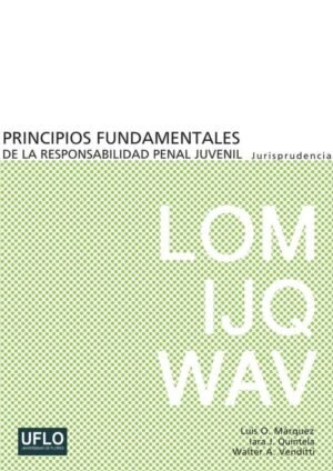 Principios fundamentales de la responsabilidad penal juvenil