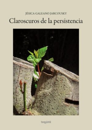 Claroscuros de la persistencia