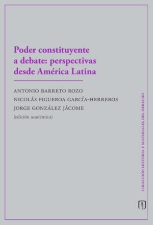 Poder constituyente a debate: