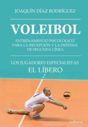 Voleibol