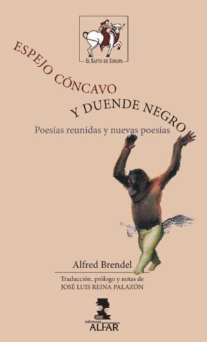 Espejo cóncavo y duende negro