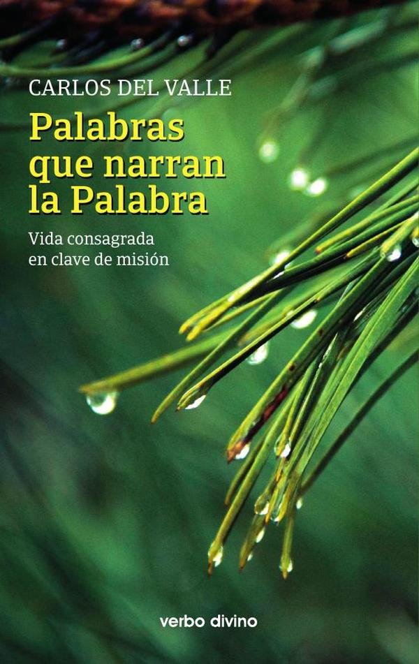 Palabras que narran la Palabra
