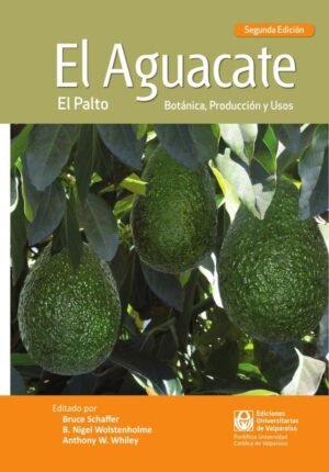 El aguacate