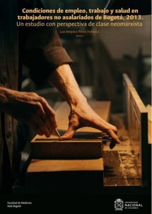 Condiciones de empleo, trabajo y salud en trabajadores no asalariados de Bogotá, 2013: un estudio con perspectiva de clase neomarxista