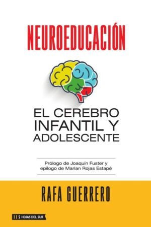 Neuroeducación: El cerebro infantil y adolescente