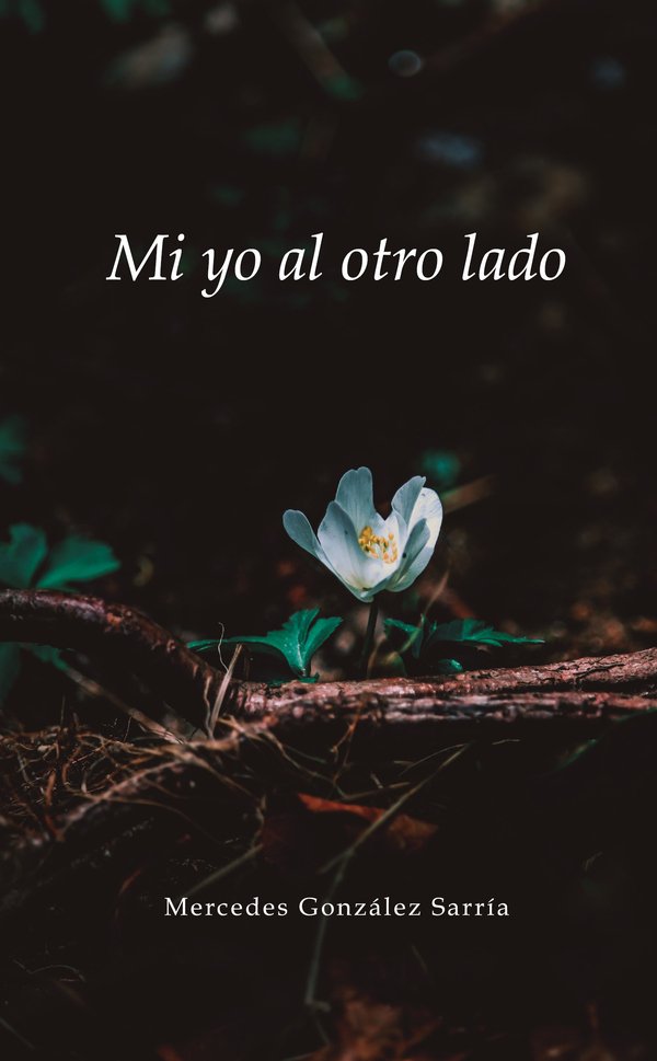 Mi yo al otro lado